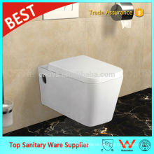 China Hersteller WC Dual-Flush-Druckknopf